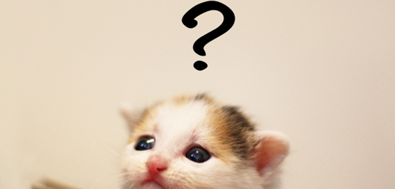 ぴったりじゃなくてもいい? コンタクトレンズのBCってなに?